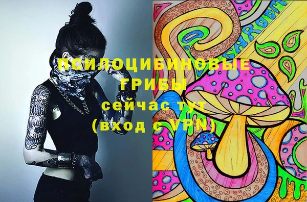 мдпв Усмань
