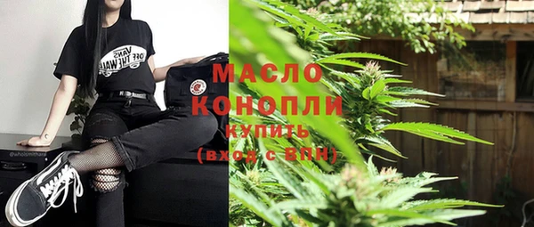 молекула духа Усинск