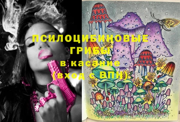 стаф Туринск